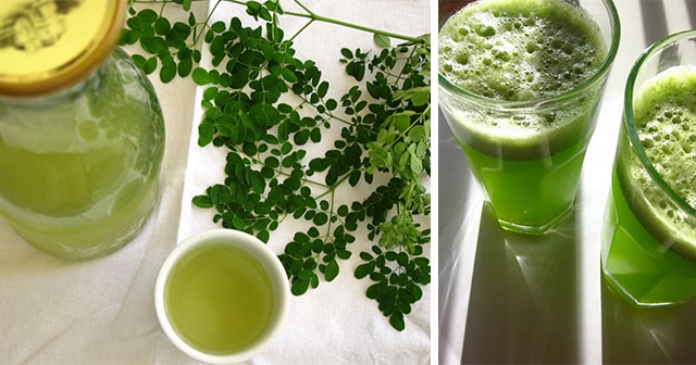 You Will Get These Health Benefits If You Start Drinking Moringa Oleifera Juice or Tea (Malunggay) Daily